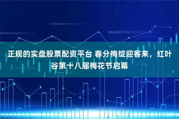 正规的实盘股票配资平台 春分梅绽迎客来，红叶谷第十八届梅花节启幕